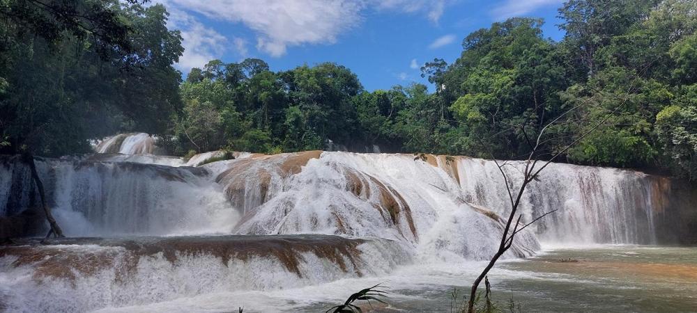 Cabanas Yax-Ha Arroyo Agua Azul エクステリア 写真