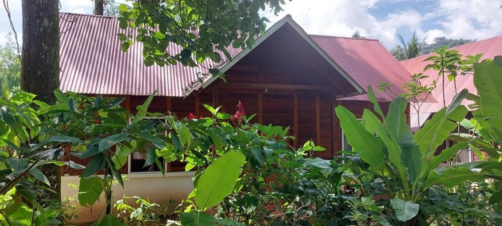 Cabanas Yax-Ha Arroyo Agua Azul エクステリア 写真